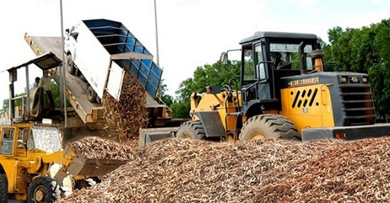 Ảnh minh họa nhỏ